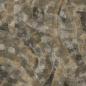 Preview: Tapete 124479 Vlies 10,05 x 0,53 m (UVP 84,95) verrsandkostenfrei in D*