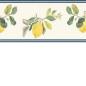 Preview: Borte 288574 Vlies 5,00 x 0,13 m (UVP 51,45) versandkostenfrei in D*
