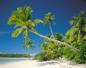 Preview: Fototapete 368 x 254 cm - 8-884 Cook Island - versandkostenfrei in D*