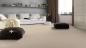 Preview: Vorwerk Teppichboden Luana 8H88 - 100 m" Großrolle - UVP 6.990 € - versandkostenfrei