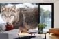 Preview: „Tiermotiv-Fototapete MS-5-0427 als Blickfang im Wohnzimmer – lebendige Farben und räumliche Tiefe“