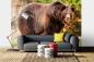 Preview: „Tiermotiv-Fototapete MS-5-0432 als Blickfang im Wohnzimmer – lebendige Farben und räumliche Tiefe“