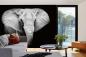 Preview: „Tiermotiv-Fototapete MS-5-0485 als Blickfang im Wohnzimmer – lebendige Farben und räumliche Tiefe“