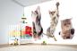 Preview: „Tiermotiv-Fototapete MS-5-0593 als Blickfang im Wohnzimmer – lebendige Farben und räumliche Tiefe“