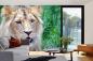 Preview: „Tiermotiv-Fototapete MS-5-0602 als Blickfang im Wohnzimmer – lebendige Farben und räumliche Tiefe“