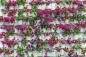 Preview: Vlies-Fototapete MS-5-0772 – Draufsicht auf florales Dessin mit warmen Farbtönen, Format 375 × 250 cm, brillante Druckqualität.