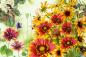 Preview: Vlies-Fototapete MS-5-1291 – Draufsicht auf florales Dessin mit warmen Farbtönen, Format 375 × 250 cm, brillante Druckqualität.