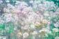 Preview: Vlies-Fototapete MS-5-1323 – Draufsicht auf florales Dessin mit warmen Farbtönen, Format 375 × 250 cm, brillante Druckqualität.