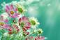Preview: Vlies-Fototapete MS-5-1343 – Draufsicht auf florales Dessin mit warmen Farbtönen, Format 375 × 250 cm, brillante Druckqualität.