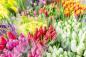 Preview: Vlies-Fototapete MS-5-1347 – Draufsicht auf florales Dessin mit warmen Farbtönen, Format 375 × 250 cm, brillante Druckqualität.