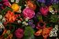 Preview: Vlies-Fototapete MS-5-1357 – Draufsicht auf florales Dessin mit warmen Farbtönen, Format 375 × 250 cm, brillante Druckqualität.