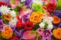 Preview: Vlies-Fototapete MS-5-1374 – Draufsicht auf florales Dessin mit warmen Farbtönen, Format 375 × 250 cm, brillante Druckqualität.