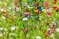 Preview: Vlies-Fototapete MS-5-1380 – Draufsicht auf florales Dessin mit warmen Farbtönen, Format 375 × 250 cm, brillante Druckqualität.