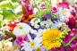 Preview: Vlies-Fototapete MS-5-1382 – Draufsicht auf florales Dessin mit warmen Farbtönen, Format 375 × 250 cm, brillante Druckqualität.