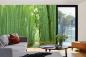 Preview: Fototapete MS-5-1583 mit Waldmotiv in einem modern eingerichteten Wohnraum
