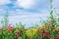 Preview: Vlies-Fototapete MS-5-1742 – Draufsicht auf florales Dessin mit warmen Farbtönen, Format 375 × 250 cm, brillante Druckqualität.