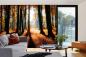 Preview: Fototapete MS-5-1877 mit Waldmotiv in einem modern eingerichteten Wohnraum