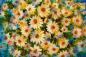 Preview: Vlies-Fototapete MS-5-1963 – Draufsicht auf florales Dessin mit warmen Farbtönen, Format 375 × 250 cm, brillante Druckqualität.