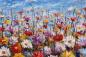Preview: Vlies-Fototapete MS-5-1972 – Draufsicht auf florales Dessin mit warmen Farbtönen, Format 375 × 250 cm, brillante Druckqualität.