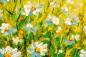 Preview: Vlies-Fototapete MS-5-1982 – Draufsicht auf florales Dessin mit warmen Farbtönen, Format 375 × 250 cm, brillante Druckqualität.