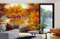 Preview: Fototapete MS-5-2035 mit Waldmotiv in einem modern eingerichteten Wohnraum