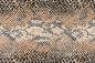 Preview: „Strukturmotiv der Vlies-Fototapete MS-5-2580 in Draufsicht – detailreiche Oberfläche mit räumlicher Wirkung im Format 375×250 cm“