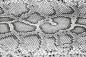 Preview: „Strukturmotiv der Vlies-Fototapete MS-5-2585 in Draufsicht – detailreiche Oberfläche mit räumlicher Wirkung im Format 375×250 cm“