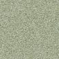 Preview: Vorwerk Sommersprosse 4H24 – Univelours-Draufsicht in Farbe 1P32 mit dichter, strukturierter Oberfläche