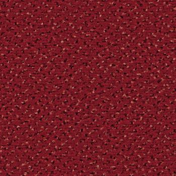 Quadrabild vom Alexis