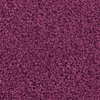 Draufsicht auf Vorwerk Romance 1Q02 – Velours Teppichboden in gedecktem Farbton, ohne Label und Badge