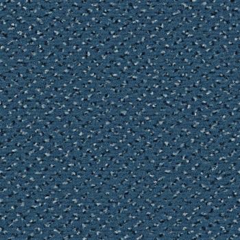 Quadrabild vom Alexis