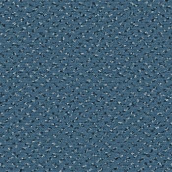 Quadrabild vom Alexis