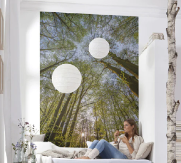 Detailansicht Komar Canopy Fototapete 184×254 cm für Wohnräume