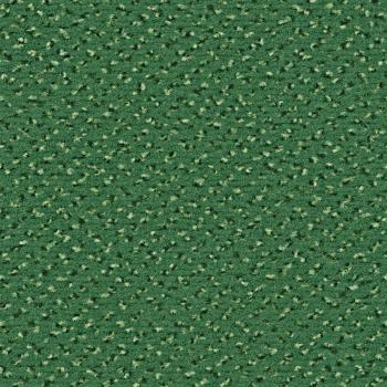 Quadrabild vom Alexis