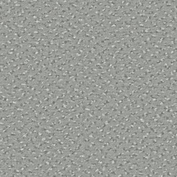 Quadrabild vom Alexis