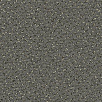 Quadrabild vom Alexis