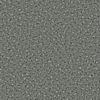 Quadrabild vom Alexis