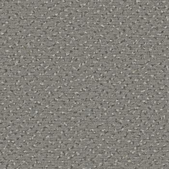 Quadrabild vom Alexis