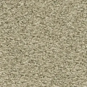 Draufsicht auf Vorwerk Romance 6C79 – Velours Teppichboden in gedecktem Farbton, ohne Label und Badge