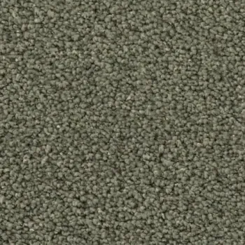 Preview: Draufsicht auf Vorwerk Romance 7H40 – Velours Teppichboden in gedecktem Farbton, ohne Label und Badge