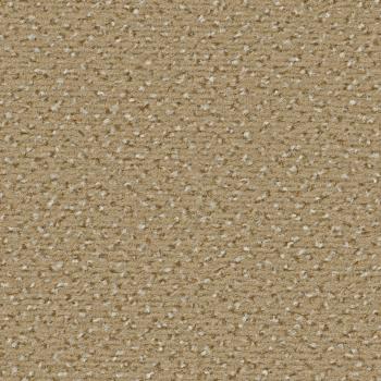 Quadrabild vom Alexis