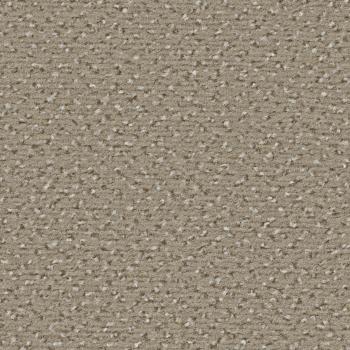 Quadrabild vom Alexis