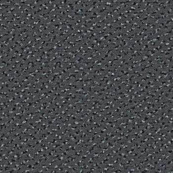 Quadrabild vom Alexis