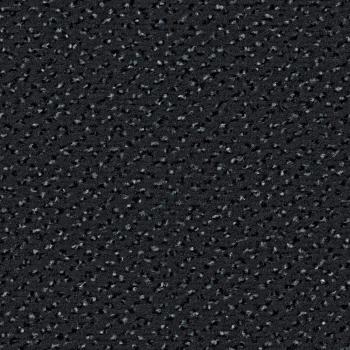 Quadrabild vom Alexis