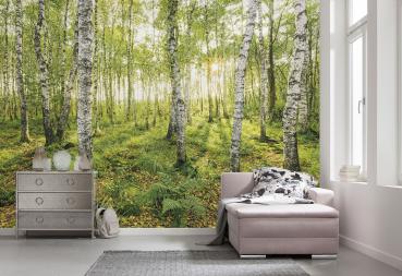 Fototapete auf Vlies SH043-VD4 - 400 x 250 cm - versandkostenfrei