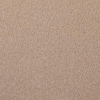 Girloon Body Teppichboden 841 sanddorn – Draufsicht