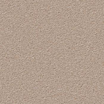 Vorwerk Teppichboden Conzano 8H99 als 100 m² Großrolle – maßgenauer Zuschnitt direkt ab Werk Hameln. UVP 5.990 €, bei uns nur 3.790 €. Versandkostenfrei innerhalb Deutschlands.