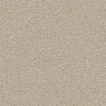 Vorwerk Teppichboden Conzano 8J02 als 100 m² Großrolle – maßgenauer Zuschnitt direkt ab Werk Hameln. UVP 5.990 €, bei uns nur 3.790 €. Versandkostenfrei innerhalb Deutschlands.