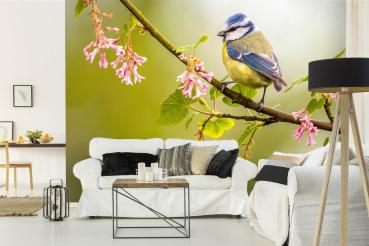 „Tiermotiv-Fototapete MS-5-0396 als Blickfang im Wohnzimmer – lebendige Farben und räumliche Tiefe“