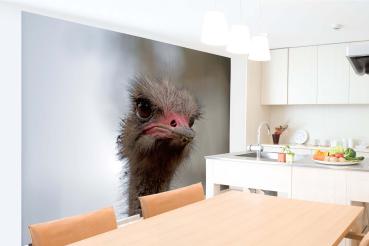 „Tiermotiv-Fototapete MS-5-0411 als Blickfang im Wohnzimmer – lebendige Farben und räumliche Tiefe“